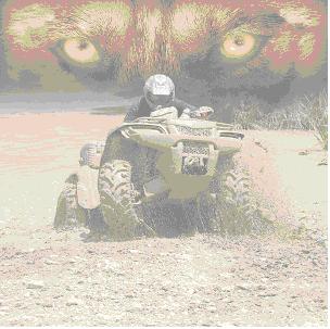 Photo by :: pattanapong