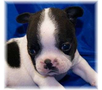 Photo by :: ���