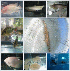 Photo by :: ��ҵ鹹��