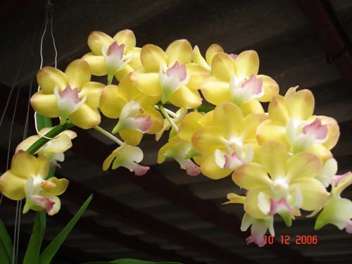 Photo by :: ��� 