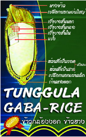 Photo by :: �سʶҾ�