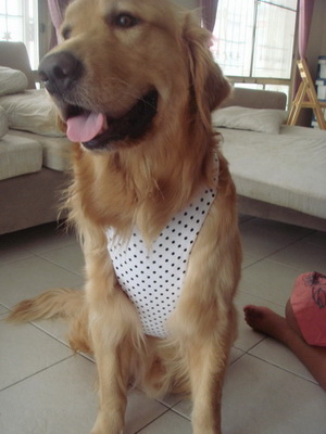 Photo by :: �硪ͺ������