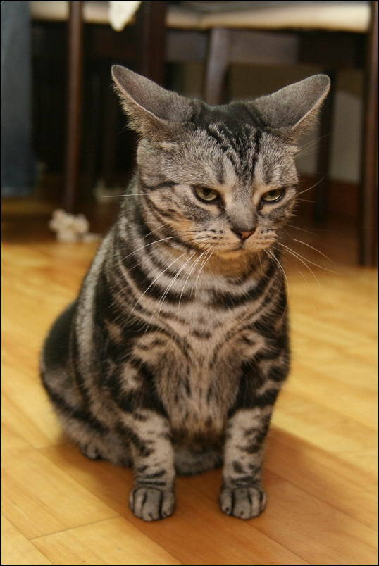 Photo by :: ต้นอ้อ