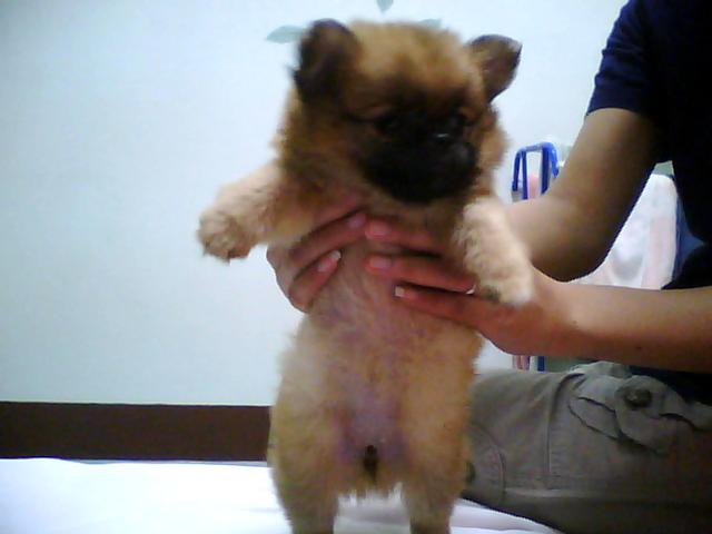 Photo by :: ��������