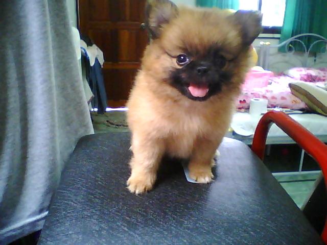 Photo by :: ��������