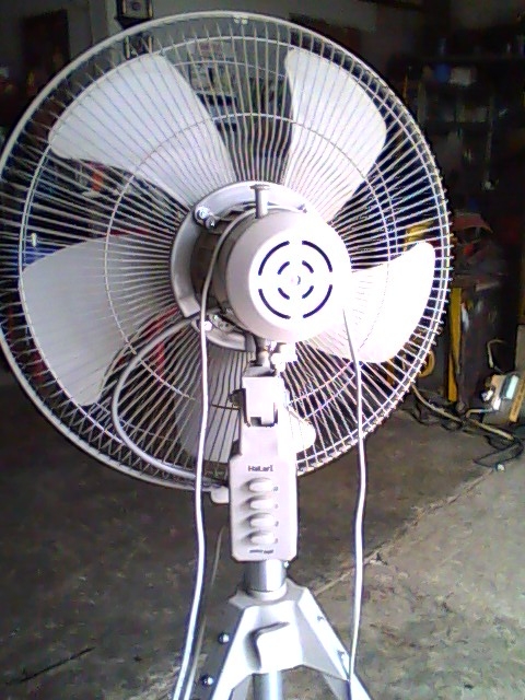 Photo by :: ��͹