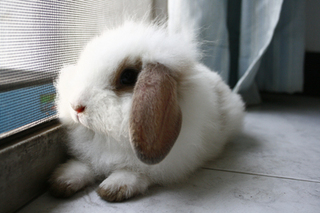 Photo by :: �����