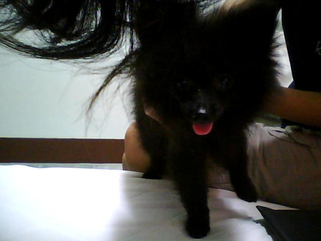 Photo by :: ���