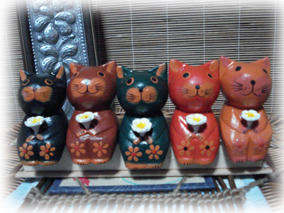 Photo by :: ���