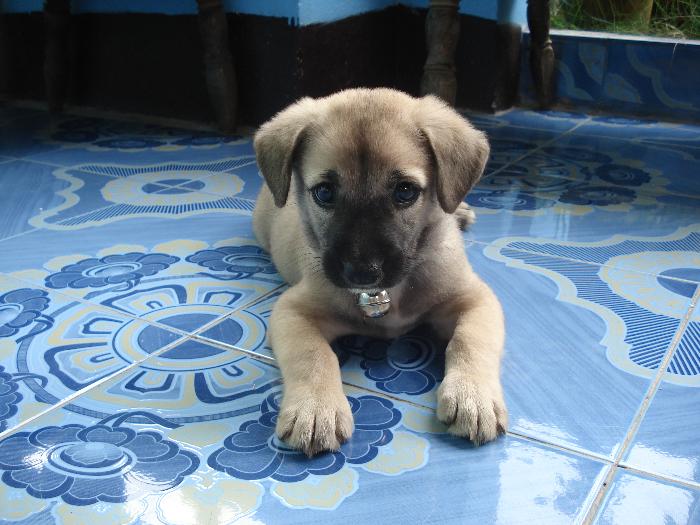 Photo by :: �ҡ���