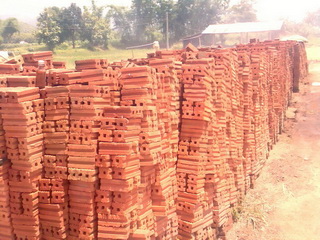 Photo by :: นงนุช