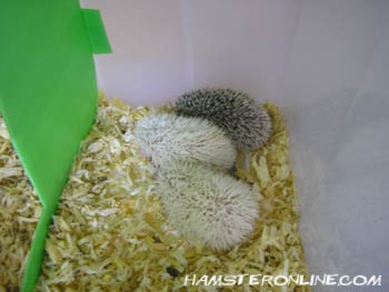 Photo by :: ��ͧ���