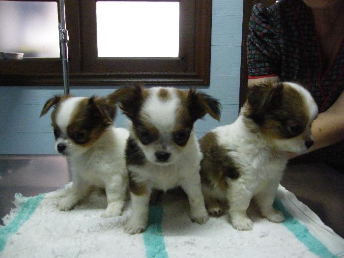 Photo by :: ���ɰ�