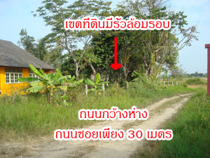 Photo by :: �ѹ��