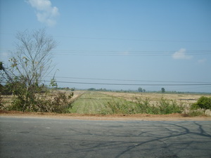 Photo by :: ���ǧ��