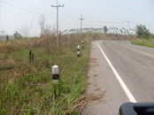 Photo by :: ����