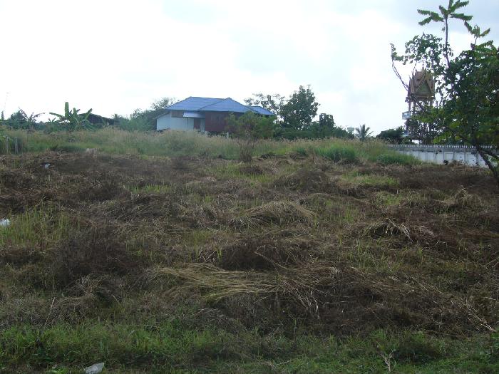 Photo by :: ���