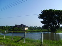 Photo by :: ����ѡ���