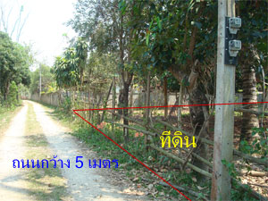 Photo by :: �ѹ�� 