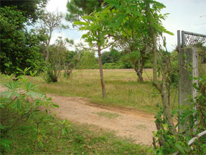 Photo by :: �ѹ��