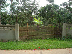 Photo by :: �ѹ��