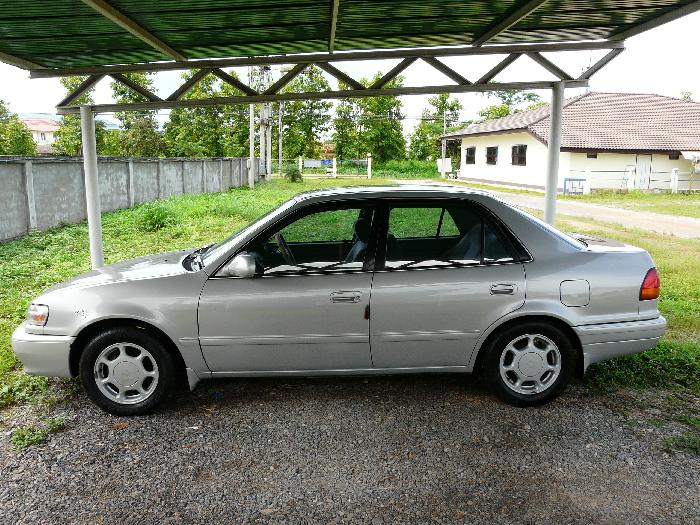 Photo by :: ต้นไม้