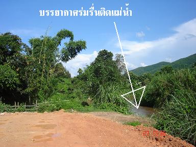 Photo by :: ����