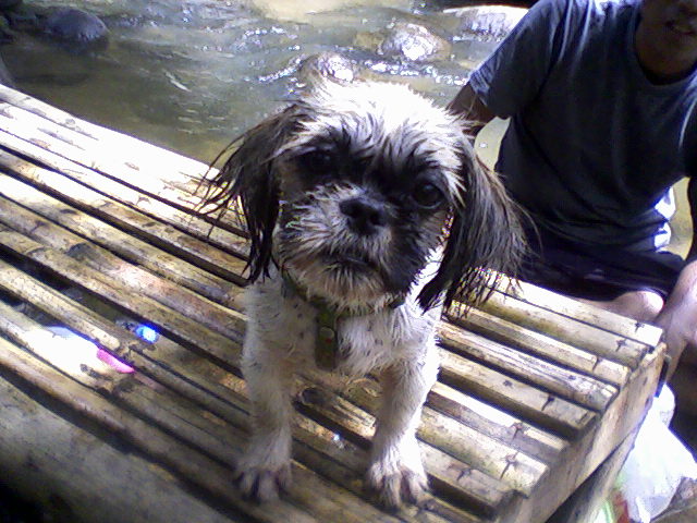 Photo by :: �����