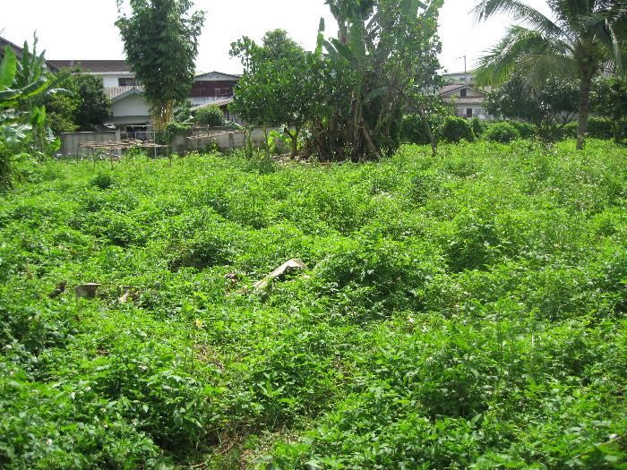 Photo by :: �ԡ�