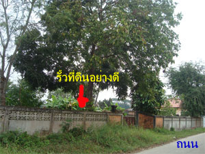 Photo by :: ��§��·��Թ