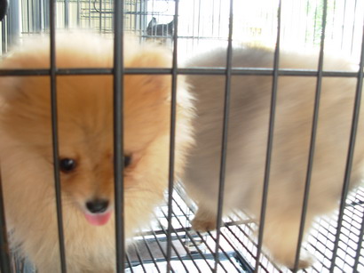 Photo by :: ��óҿ����