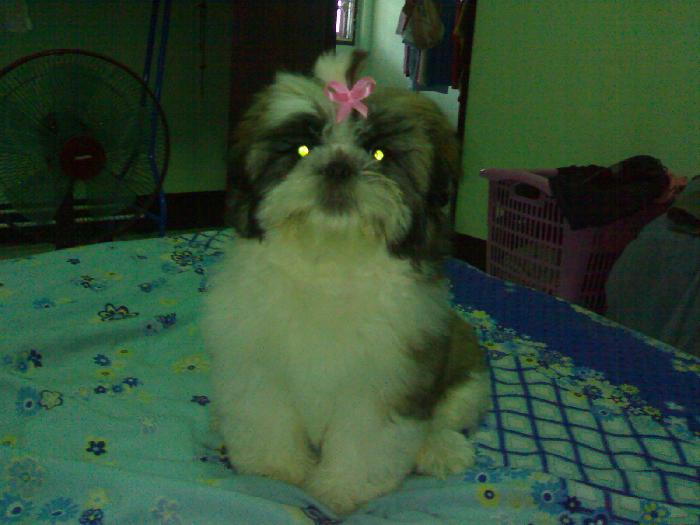 Photo by :: ��������