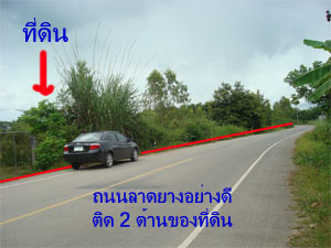 Photo by :: �ѹ��