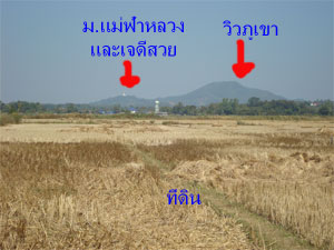 Photo by :: สบายตา