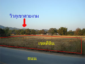 Photo by :: �ѹ��