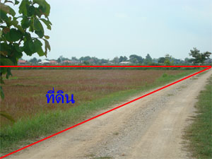 Photo by :: �ѹ��