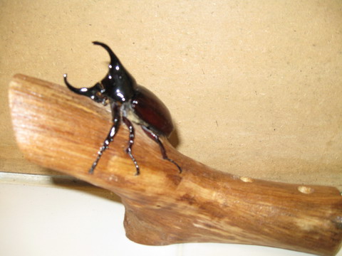 Photo by :: ����ǧ