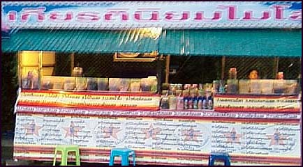 Photo by :: �ҷ�