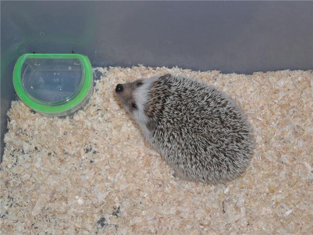 Photo by :: �˭�