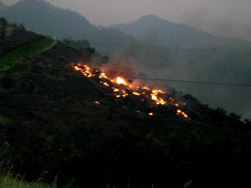 Photo by :: ซะป๊ะ..เชียงราย