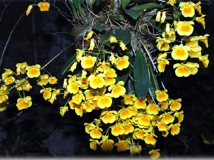 Photo by :: ����ǧ