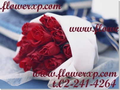 Photo by :: �ź�ҹ