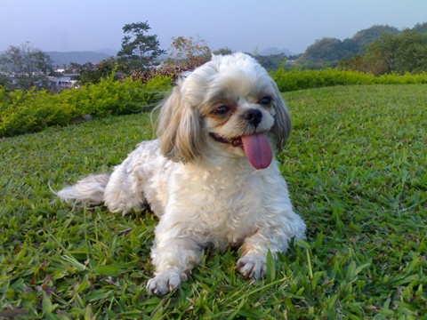 Photo by :: ��ͧ Lucky