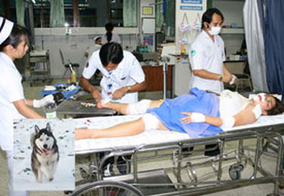 Photo by :: �鹹����§���