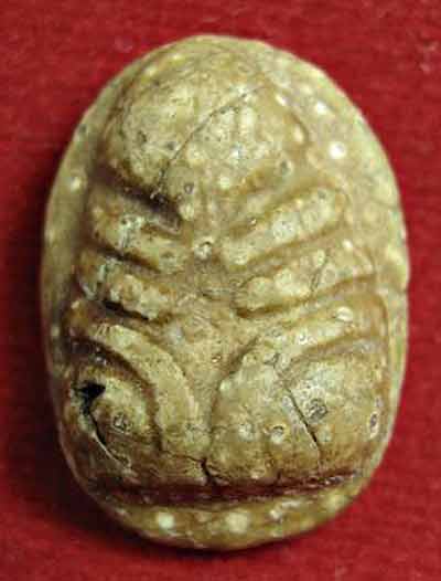 Photo by :: ����ͧ���