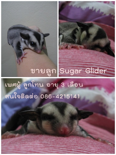 Photo by :: ���Ǿ�