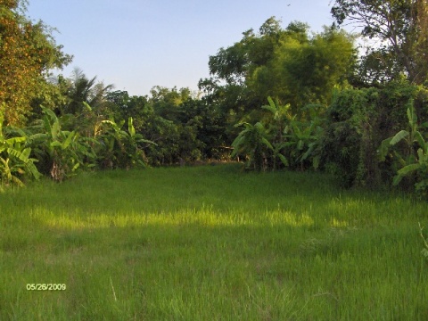 Photo by :: �Է��