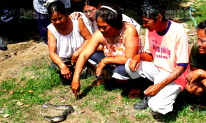 Photo by :: ����������