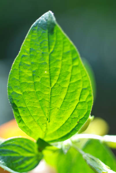 Photo by :: �����ó�