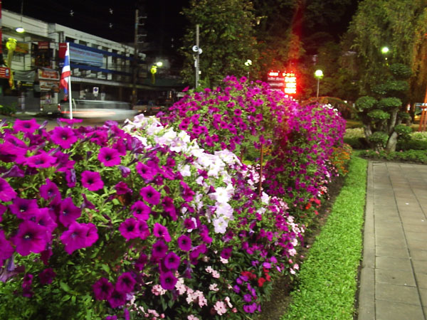 Photo by :: �л��..��§���